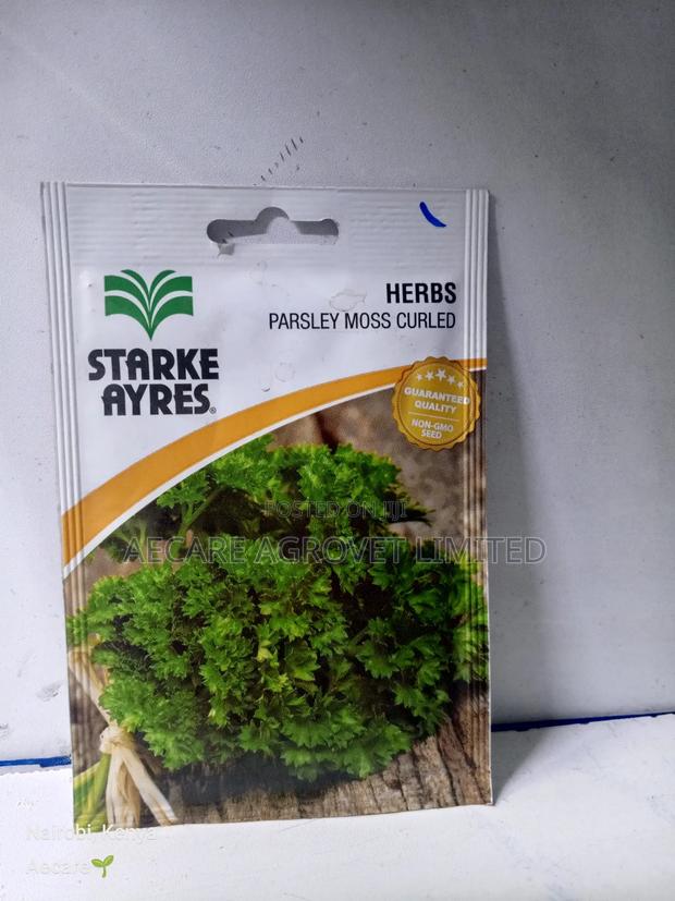 Parsley Moss Curled Herb Seeds 5gram - main view