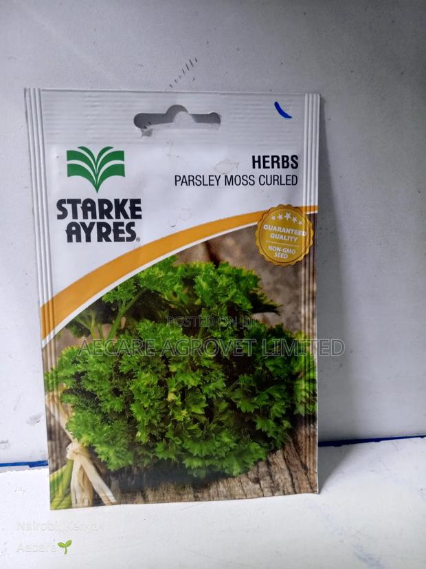 Parsley Moss Curled Herb Seeds 5gram - thumbnail 3