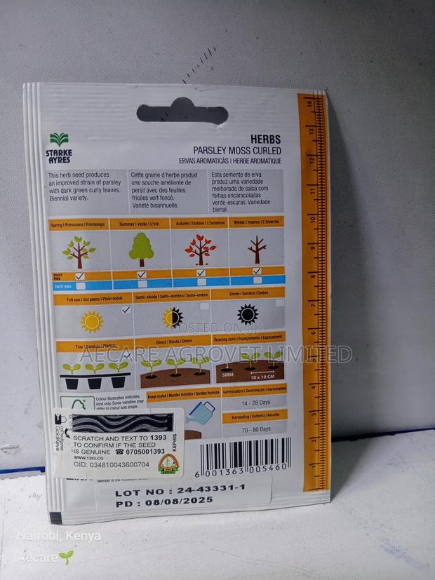 Parsley Moss Curled Herb Seeds 5gram - thumbnail 4