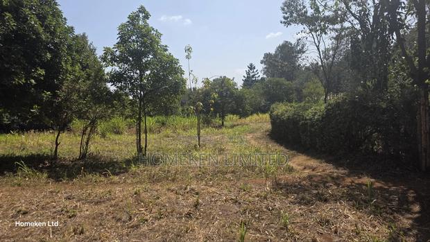 Eighth Acre Plot for Sale in Kerarapon - thumbnail 5
