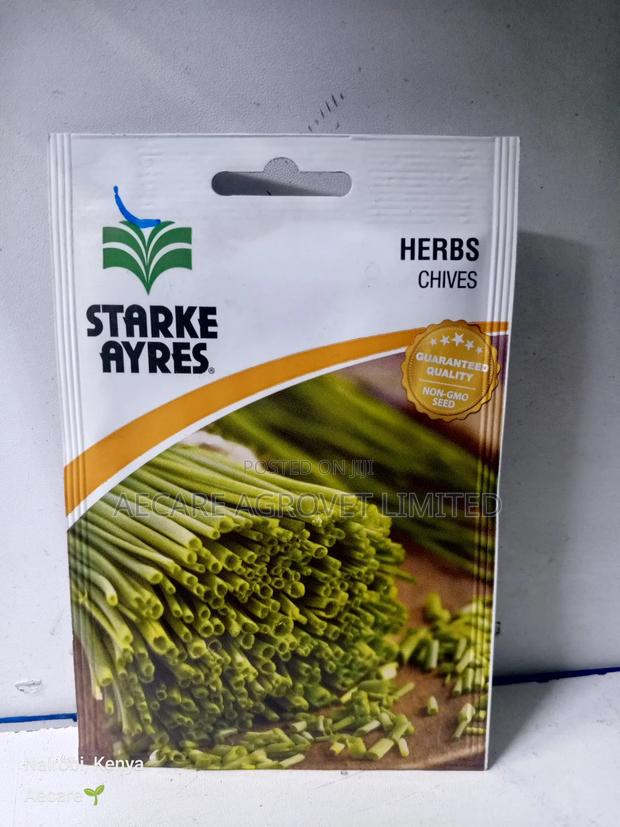 Chives Herb Seeds 1.8 Grams - main view