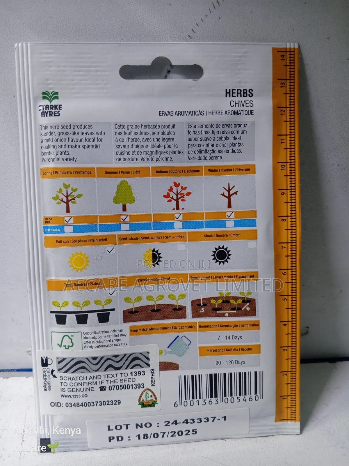 Chives Herb Seeds 1.8 Grams