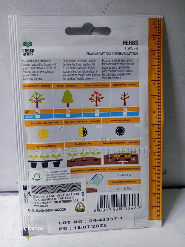 Chives Herb Seeds 1.8 Grams - thumbnail 5