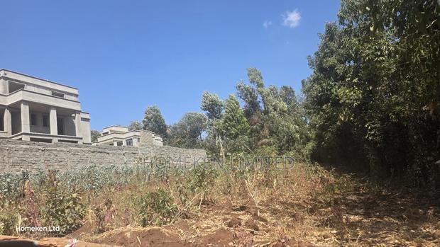 Half Acre Land for Sale in Kerarapon - thumbnail 2