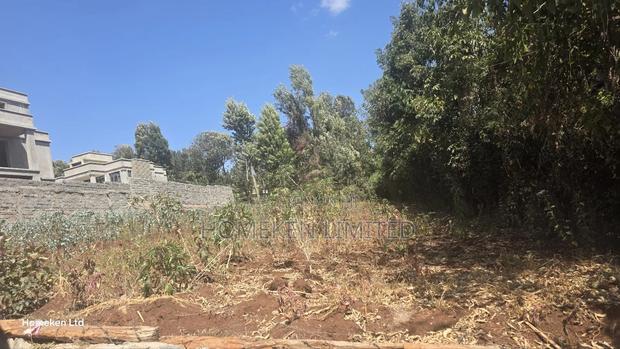 Half Acre Land for Sale in Kerarapon - thumbnail 4