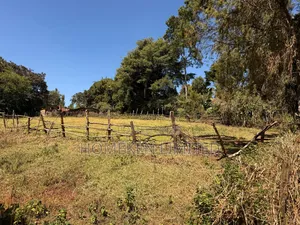 Tigon 6.36 Acres Land With an Old Colonial House on It
