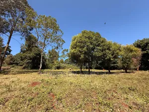 Tigon 6.36 Acres Land With an Old Colonial House on It