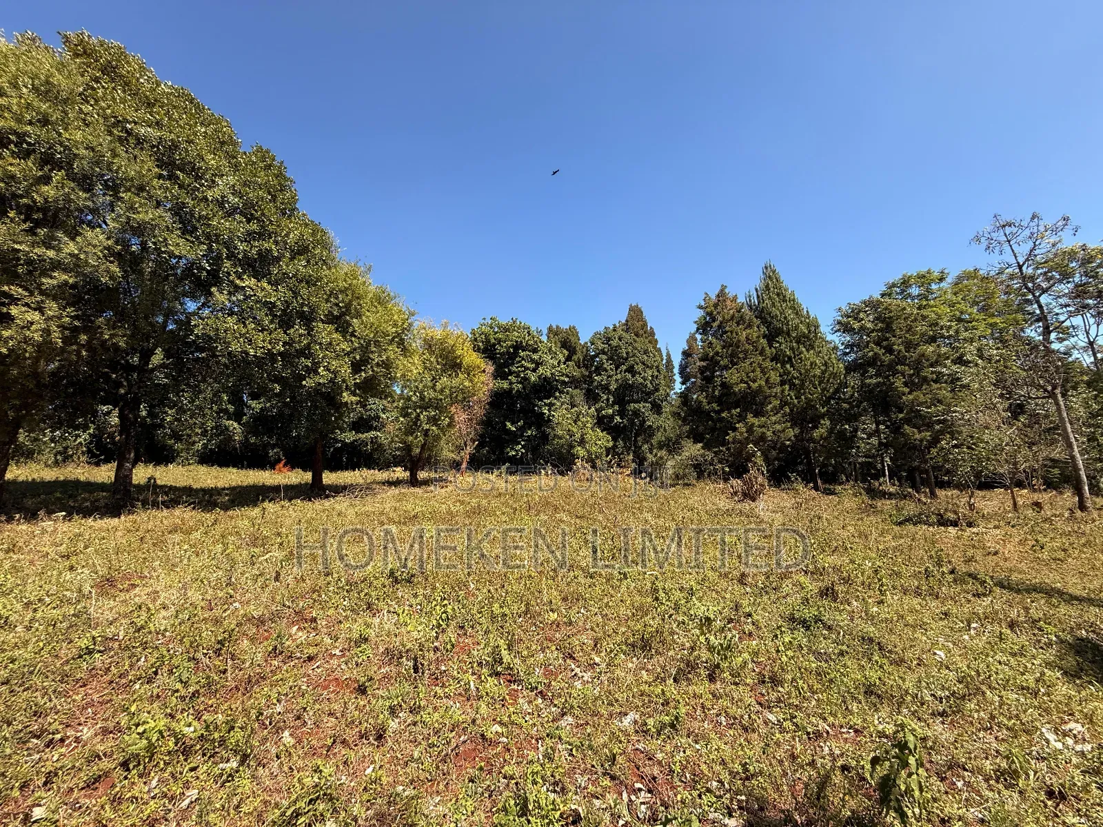 Tigon 6.36 Acres Land With an Old Colonial House on It