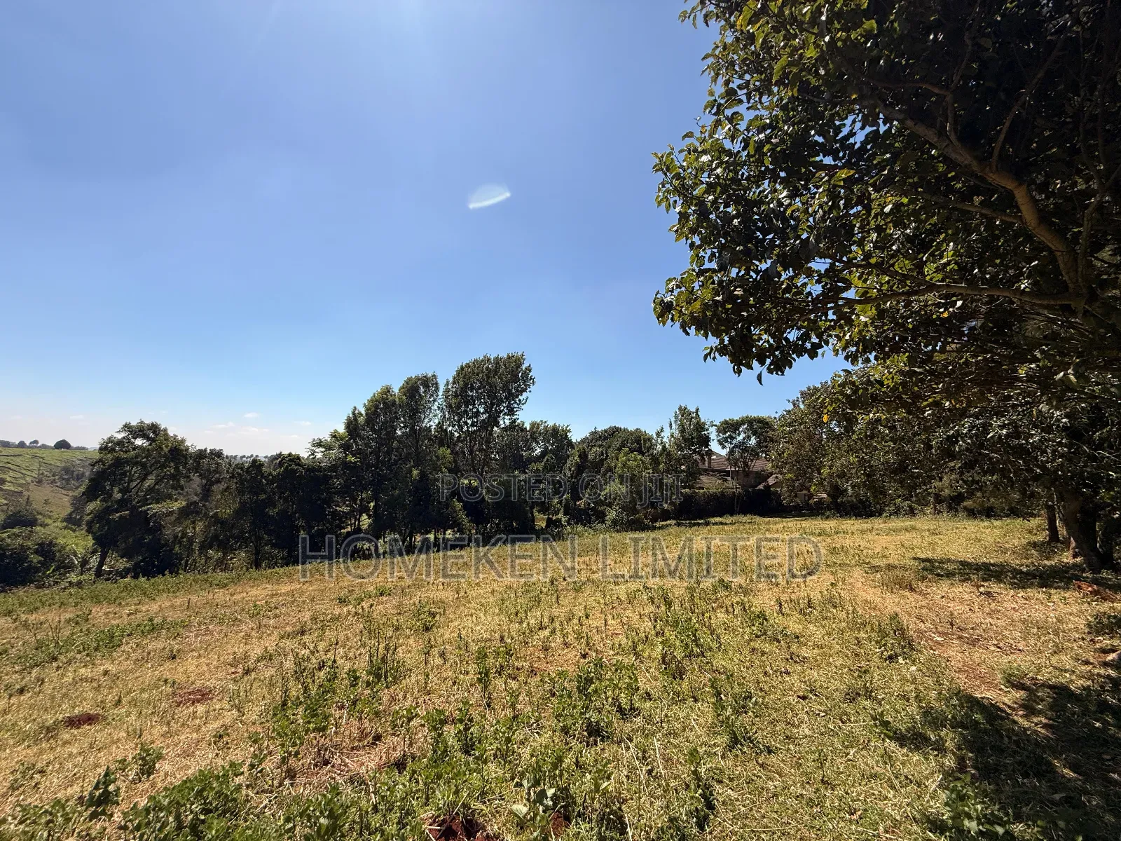 Tigon 6.36 Acres Land With an Old Colonial House on It