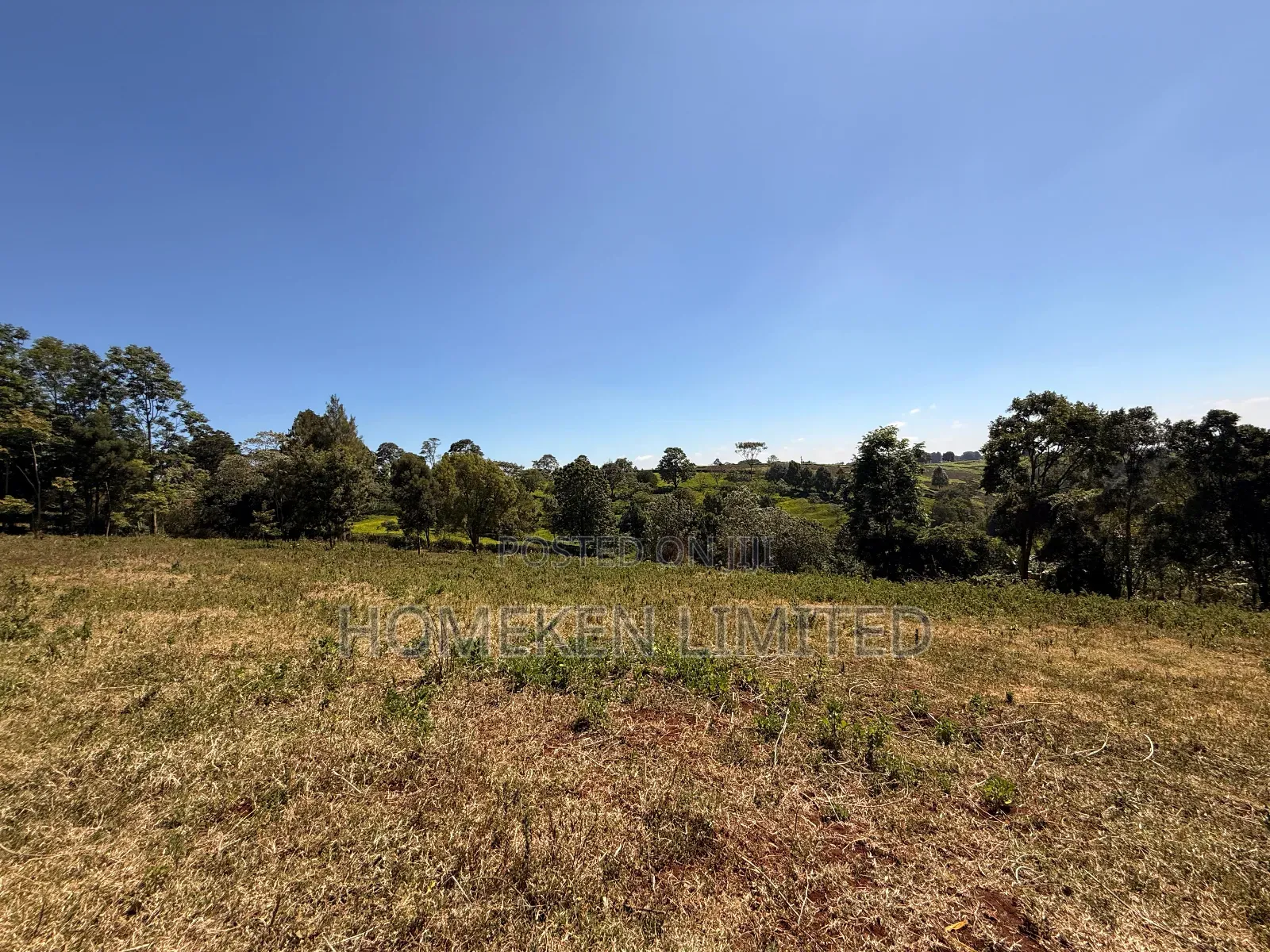 Tigon 6.36 Acres Land With an Old Colonial House on It