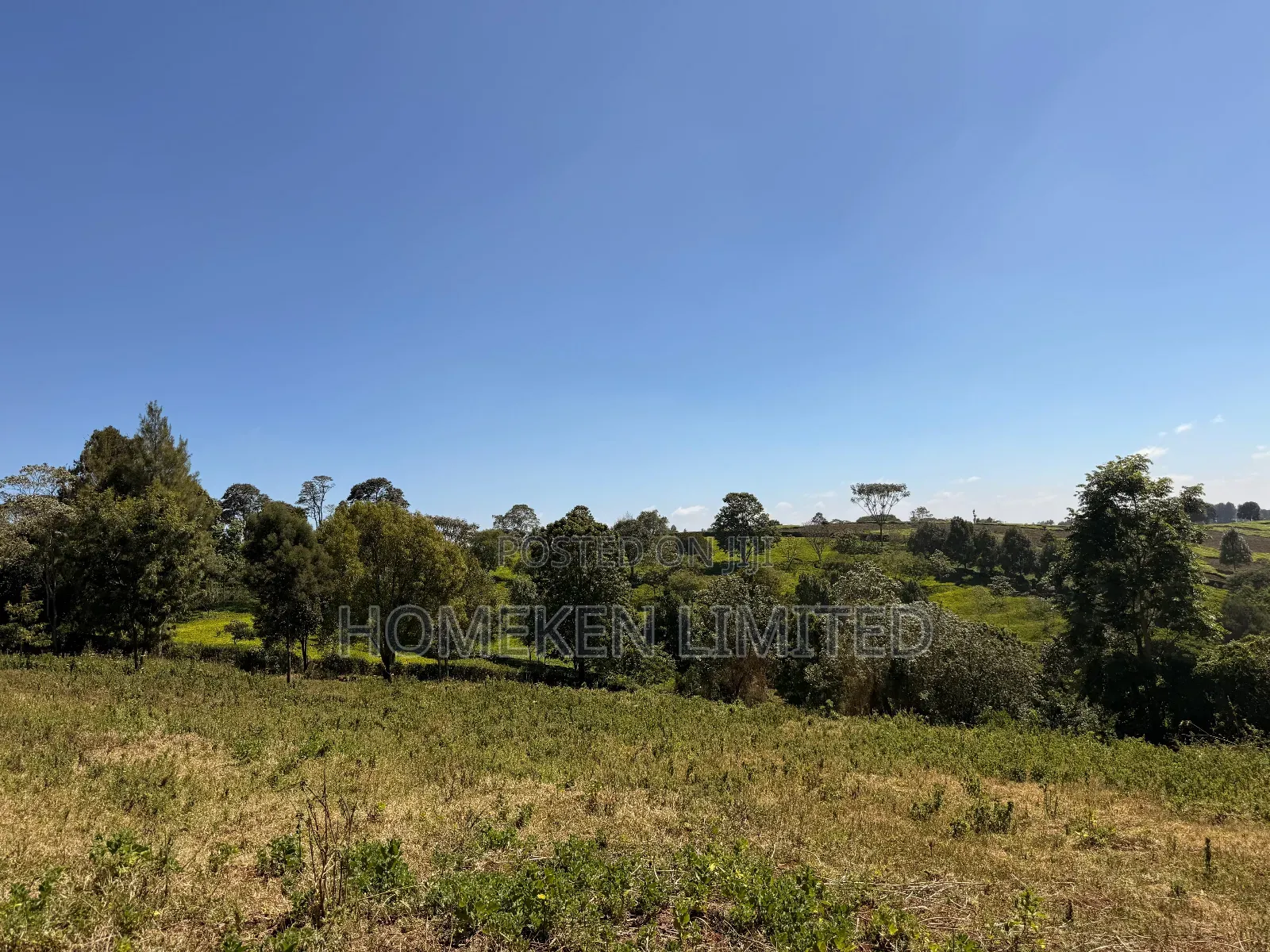 Tigon 6.36 Acres Land With an Old Colonial House on It