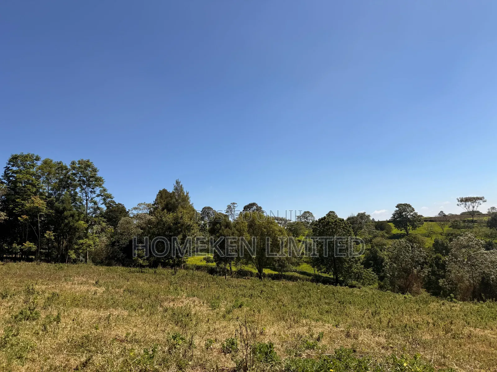 Tigon 6.36 Acres Land With an Old Colonial House on It