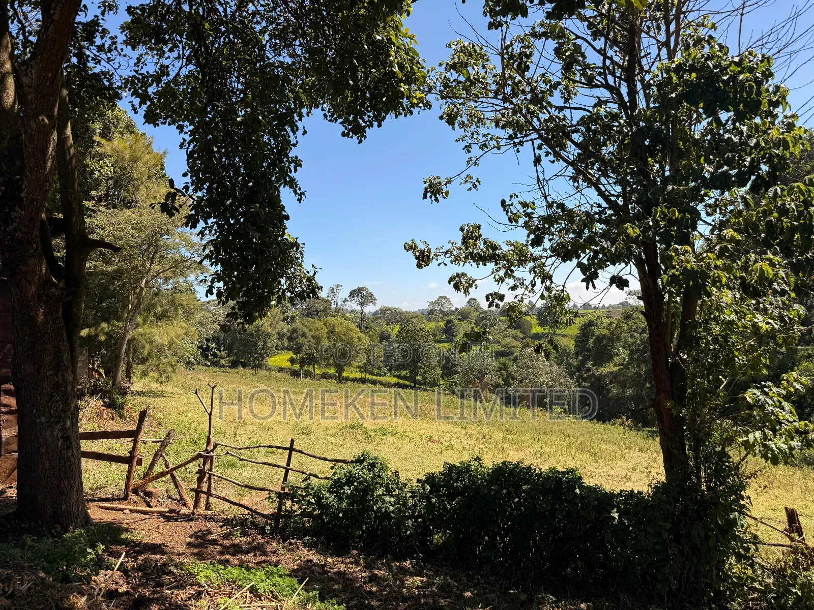 Tigon 6.36 Acres Land With an Old Colonial House on It