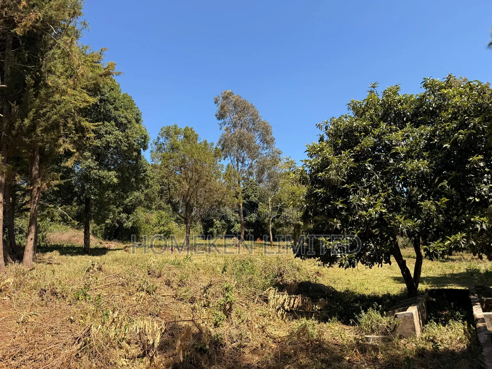Tigon 6.36 Acres Land With an Old Colonial House on It