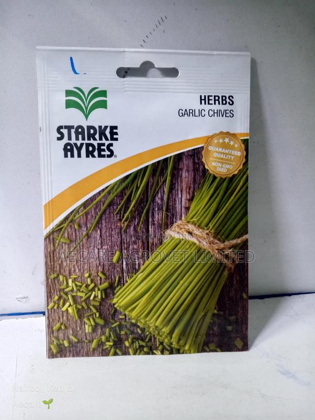 Garlic Chives Herb Seeds 0.7 Grams - main view