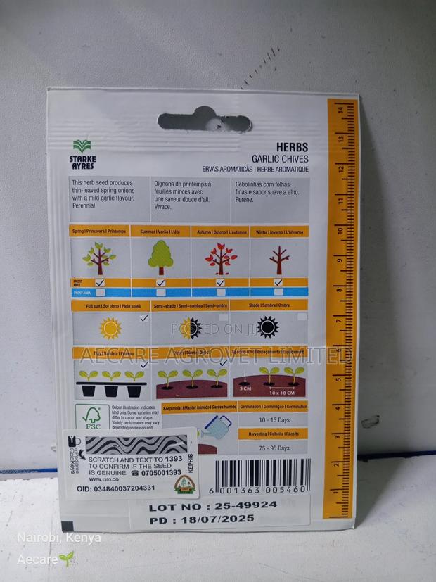 Garlic Chives Herb Seeds 0.7 Grams - thumbnail 3