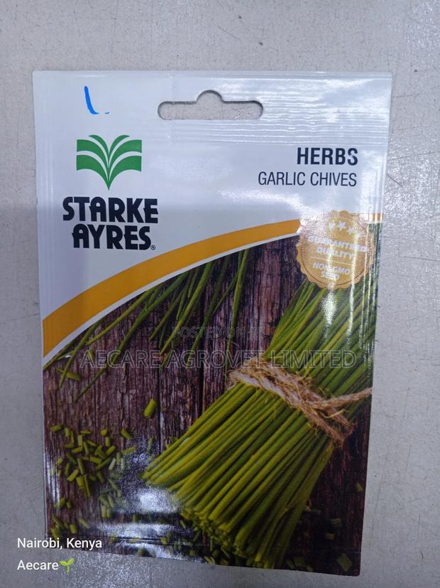 Garlic Chives Herb Seeds 0.7 Grams - thumbnail 4