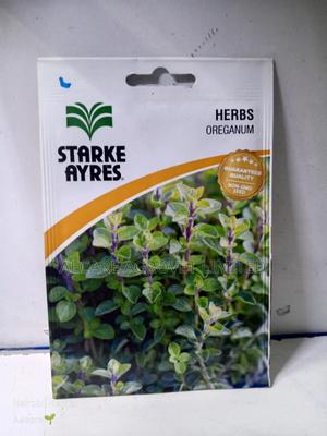 Oreganum Herb Seeds 0.25 Grams - thumbnail 2
