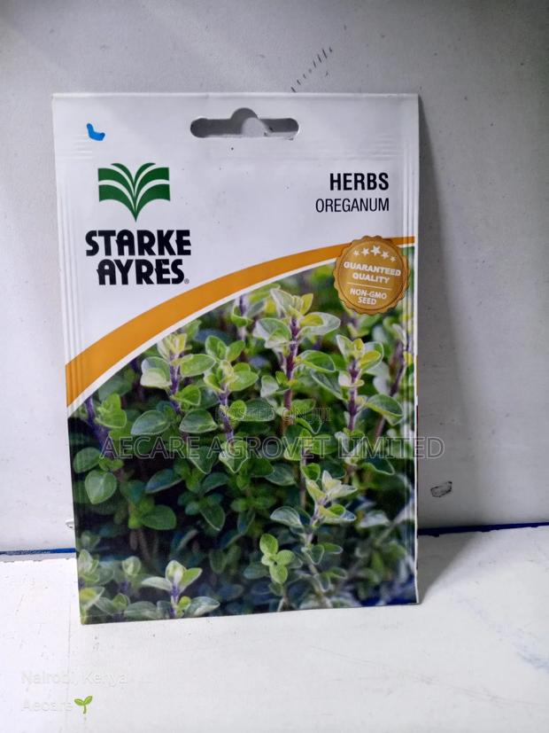 Oreganum Herb Seeds 0.25 Grams - thumbnail 3