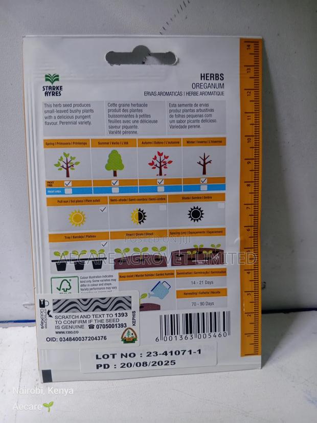 Oreganum Herb Seeds 0.25 Grams - thumbnail 4