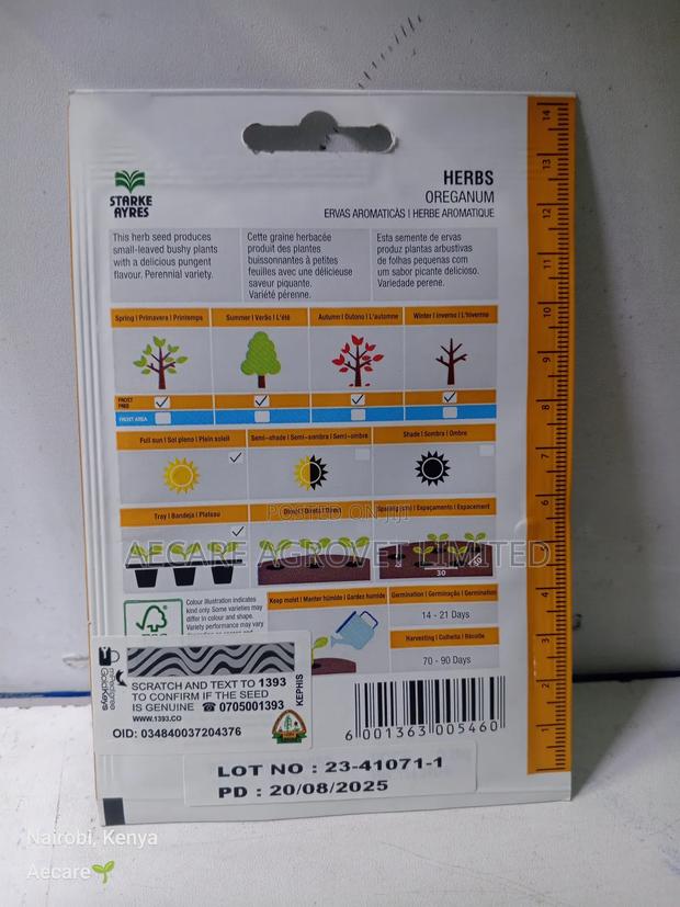 Oreganum Herb Seeds 0.25 Grams - thumbnail 5