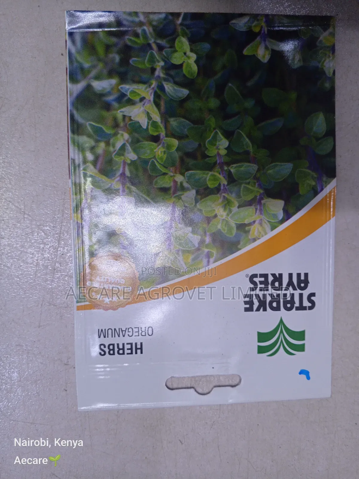 Oreganum Herb Seeds 0.25 Grams