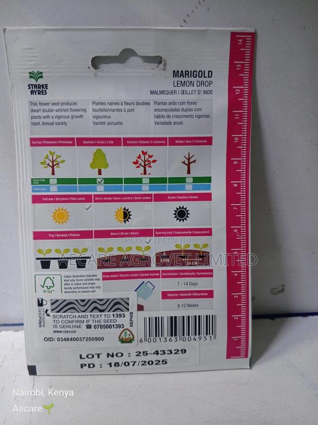 Marigold Lemon Drop Herb Seeds 0.5 Grams - thumbnail 3