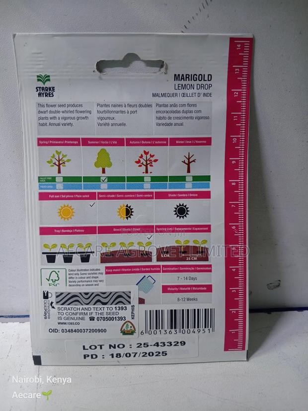 Marigold Lemon Drop Herb Seeds 0.5 Grams - thumbnail 4