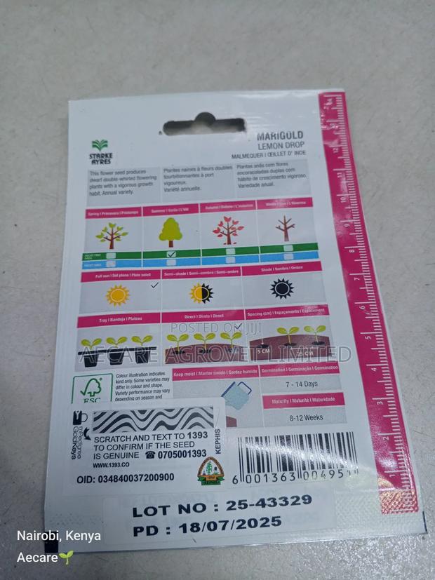 Marigold Lemon Drop Herb Seeds 0.5 Grams - thumbnail 5