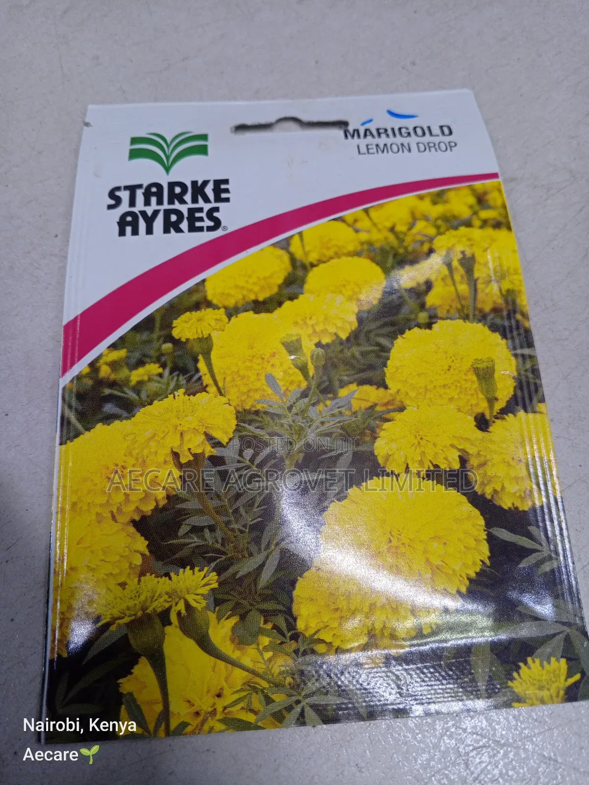 Marigold Lemon Drop Herb Seeds 0.5 Grams