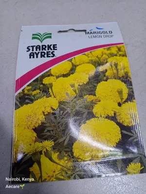 Marigold Lemon Drop Herb Seeds 0.5 Grams