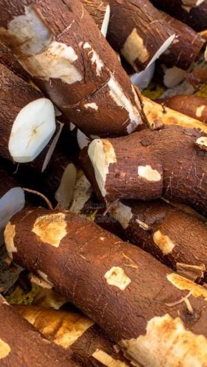 Fresh Harvested Cassava in Nairobi. - main view