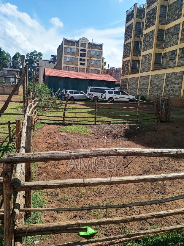 Limuru Town Plot 40x80 Ideal for Apartments. - thumbnail 2