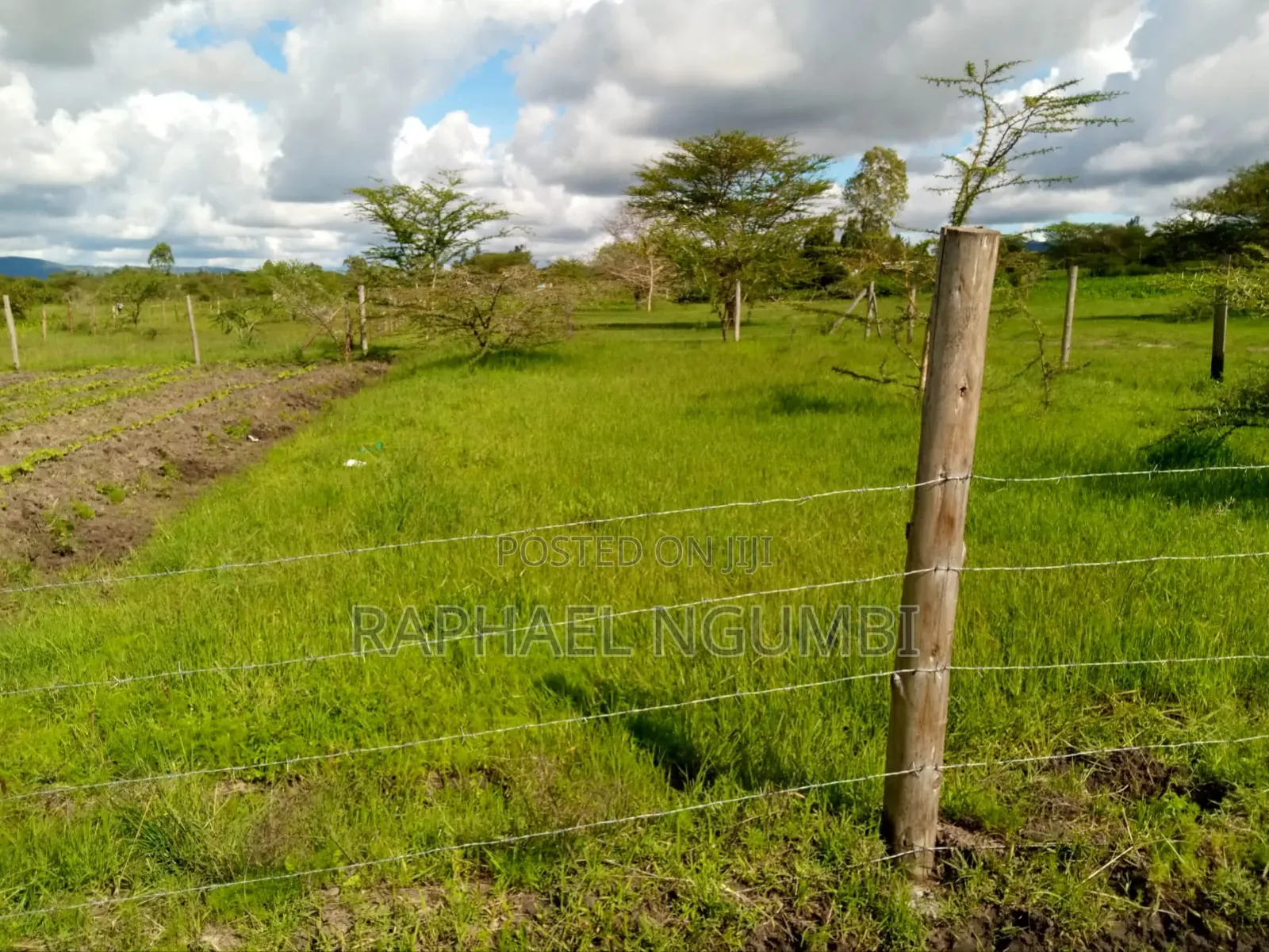 100*100 (Quarter Acre) at Machakos Kenol Mitamboni