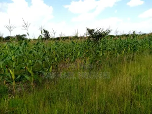 100*100 (Quarter Acre) at Machakos Kenol Mitamboni
