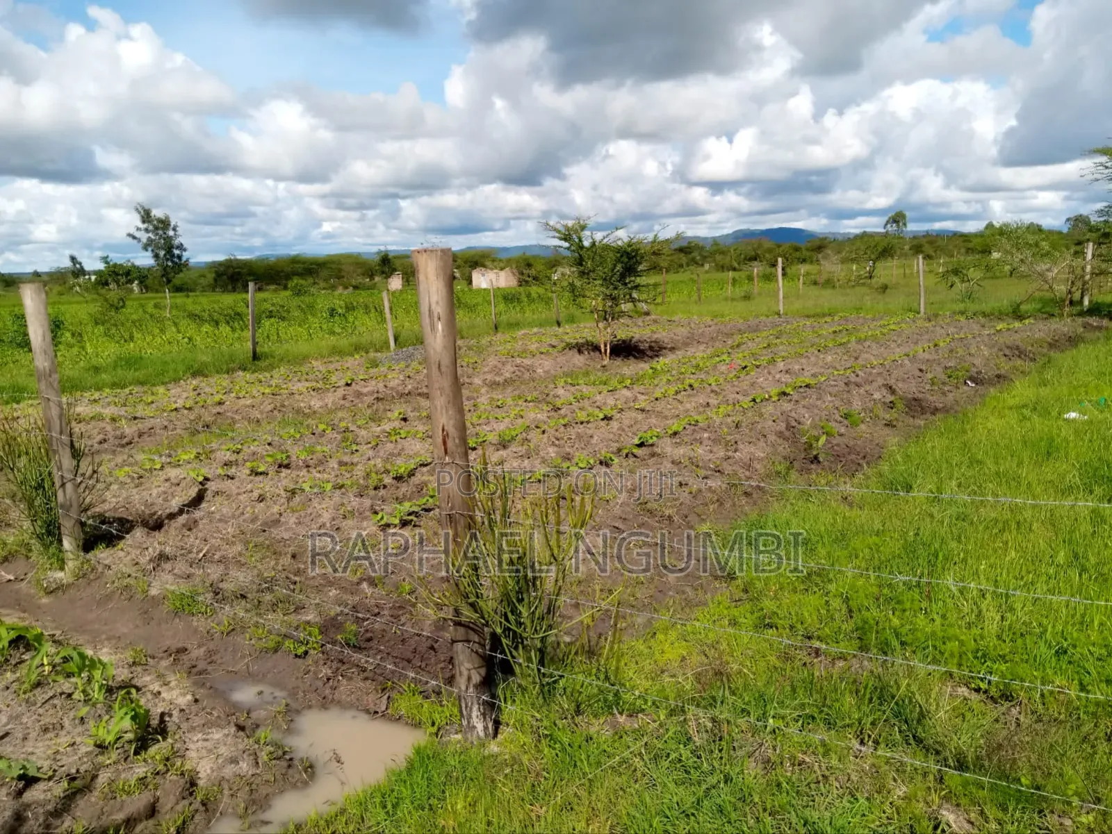 100*100 (Quarter Acre) at Machakos Kenol Mitamboni