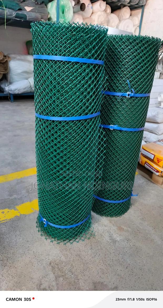 Green Chicken Mesh - main view