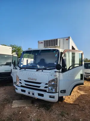 Isuzu Elf Truck 2019 White