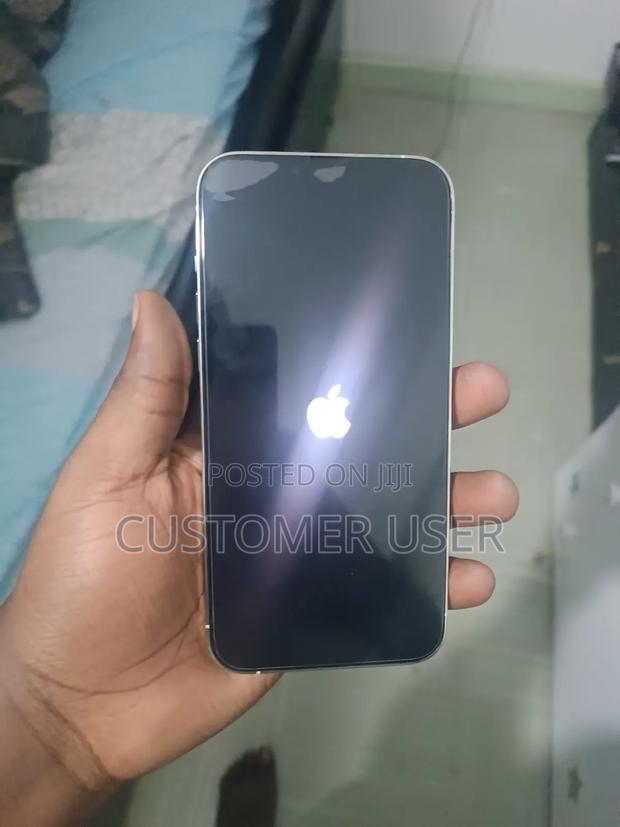 Apple iPhone 13 Pro Max 128 GB Silver - thumbnail 6