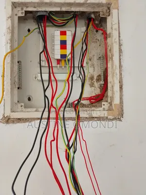 Professionale Electrical Services
