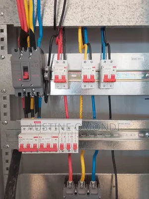 Professional Elctrician