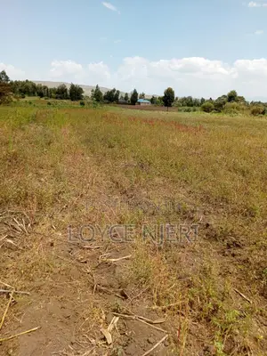 5acres Ndabibi Naivasha