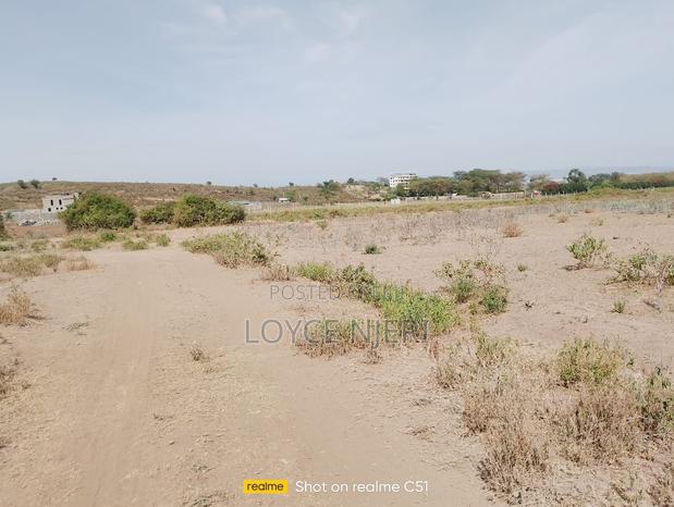 Quarter Acre Kikopey - main view