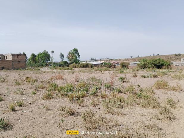 Quarter Acre Kikopey - thumbnail 8