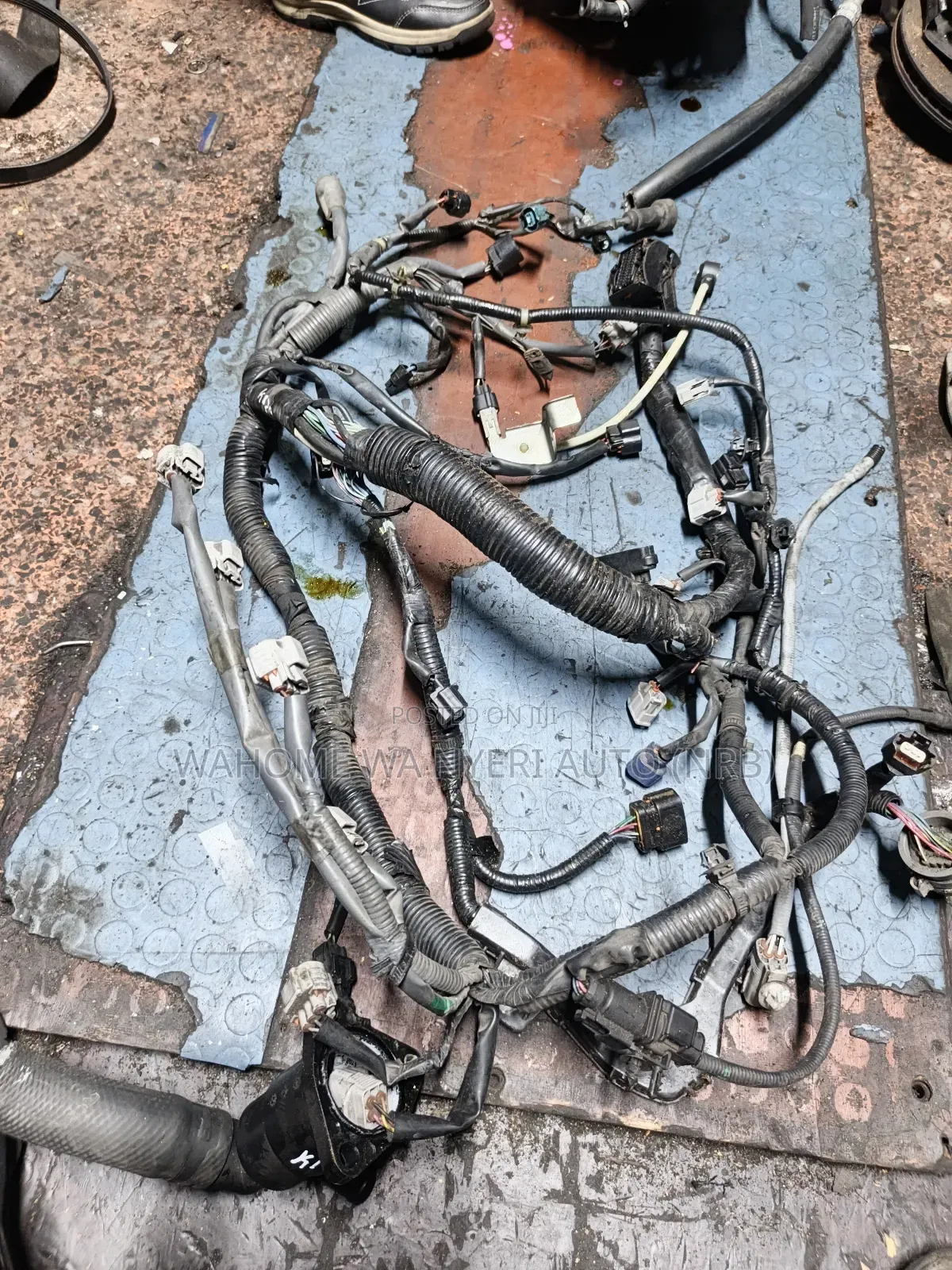 Harness Suzuki Swift K12b