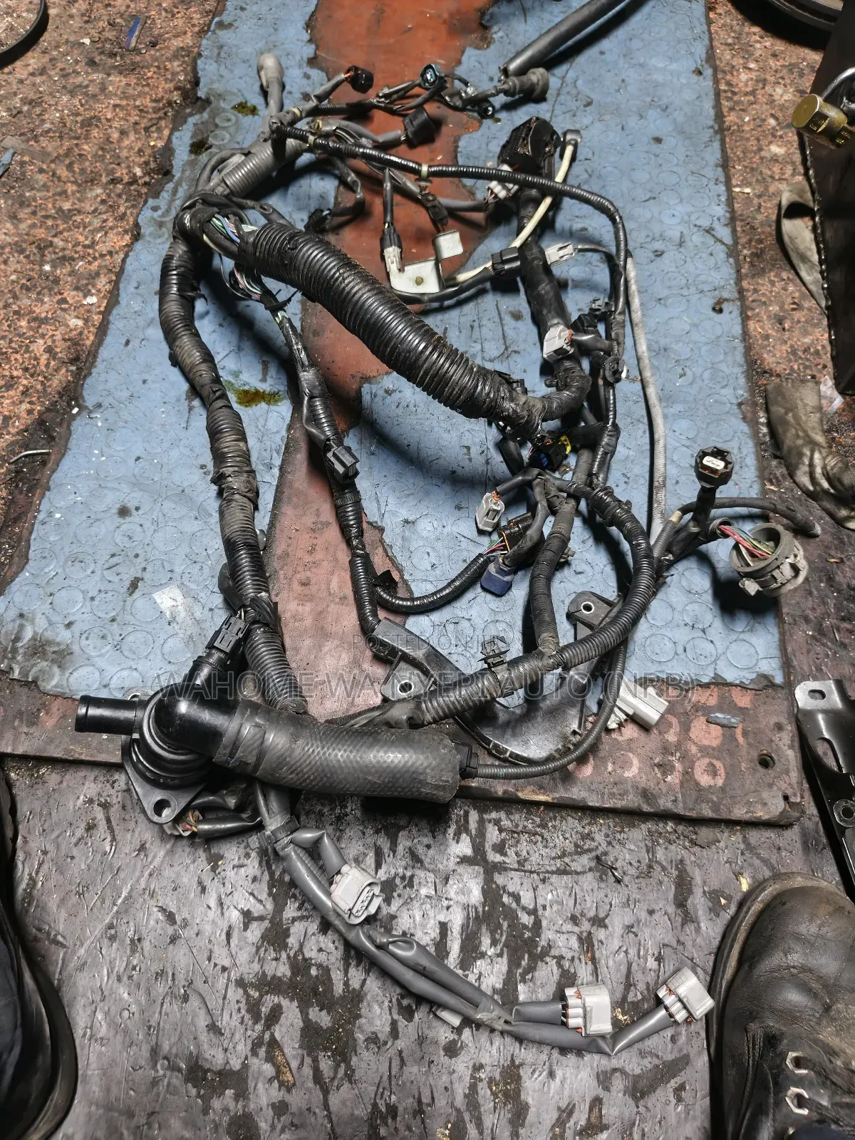 Harness Suzuki Swift K12b