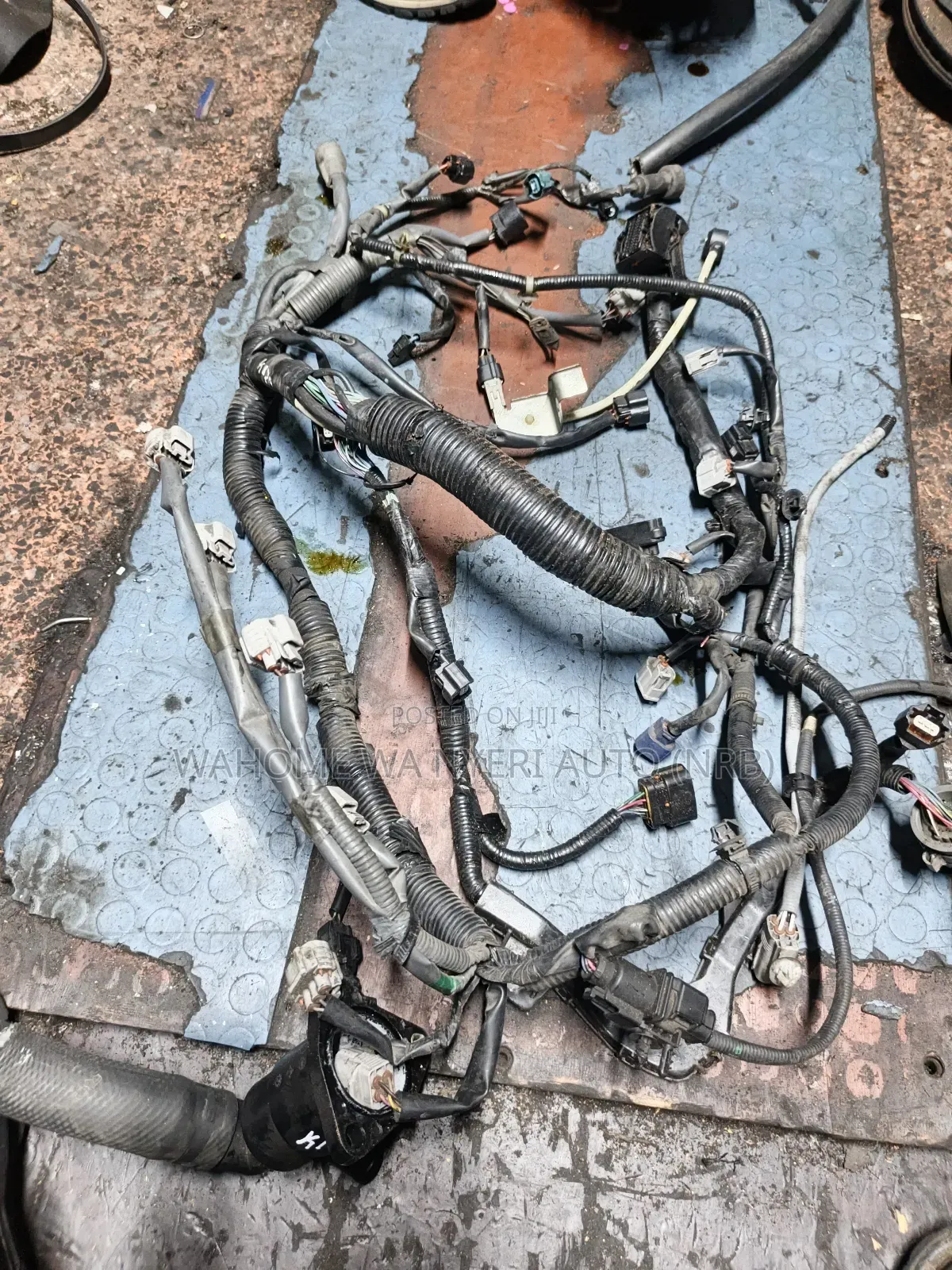 Harness Suzuki Swift K12b