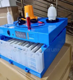 Affordable 64 Eggs Incubator Machine/Hatching Machine