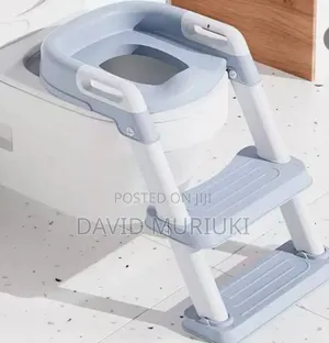 Safe Fun Toilet Ladder for Toddlers