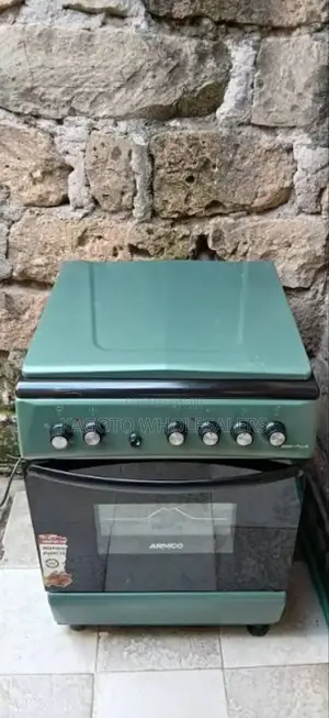 Electric Oven New Globalstar 60by60 Cooker